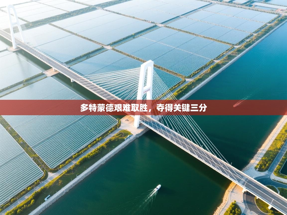 多特蒙德艰难取胜，夺得关键三分