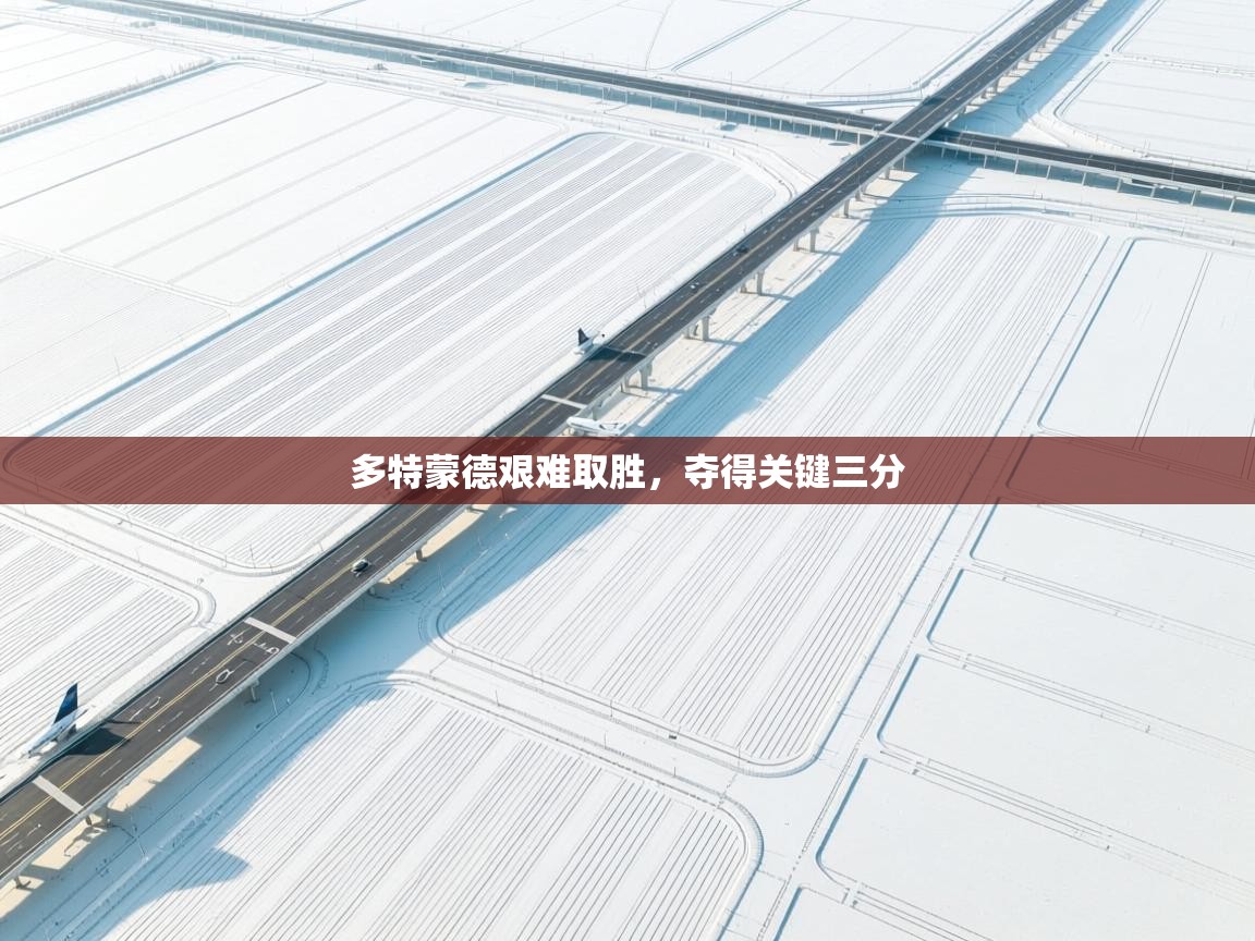 多特蒙德艰难取胜，夺得关键三分  第2张