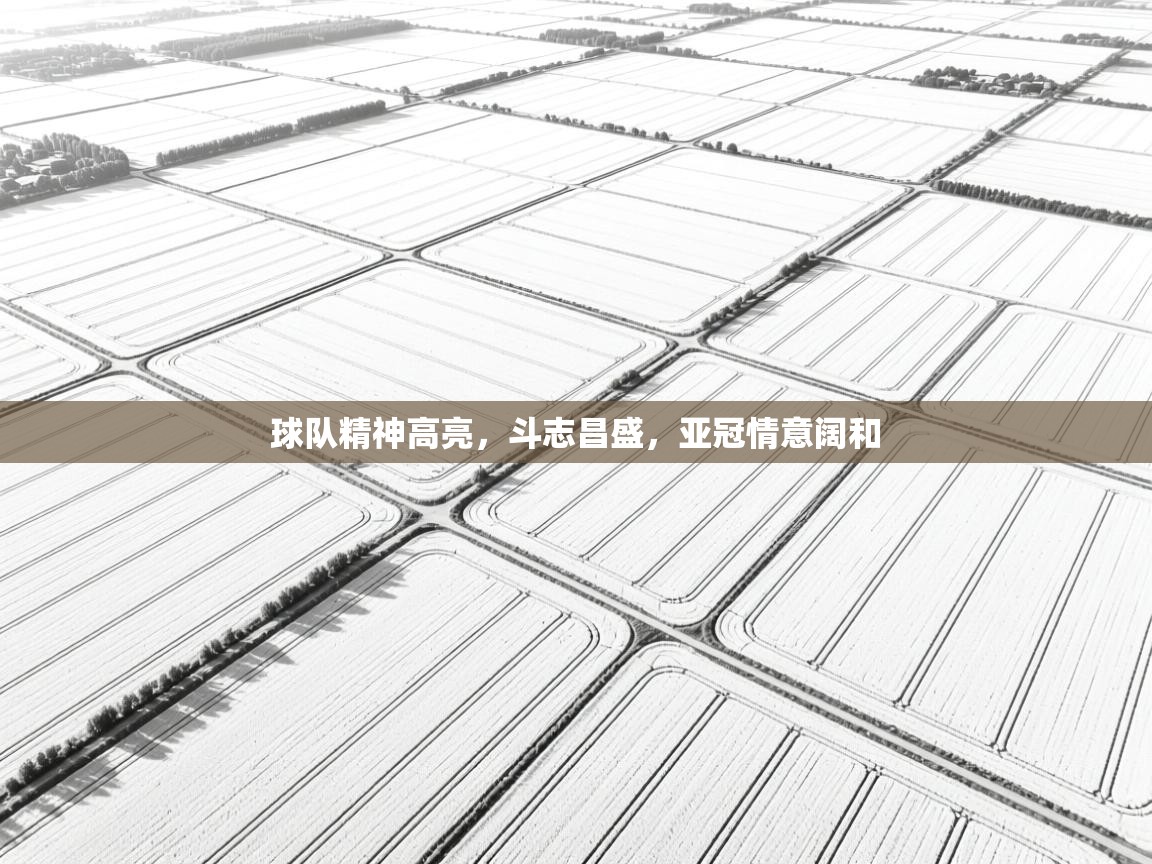 球队精神高亮,斗志昌盛,亚冠情意阔和 第2张