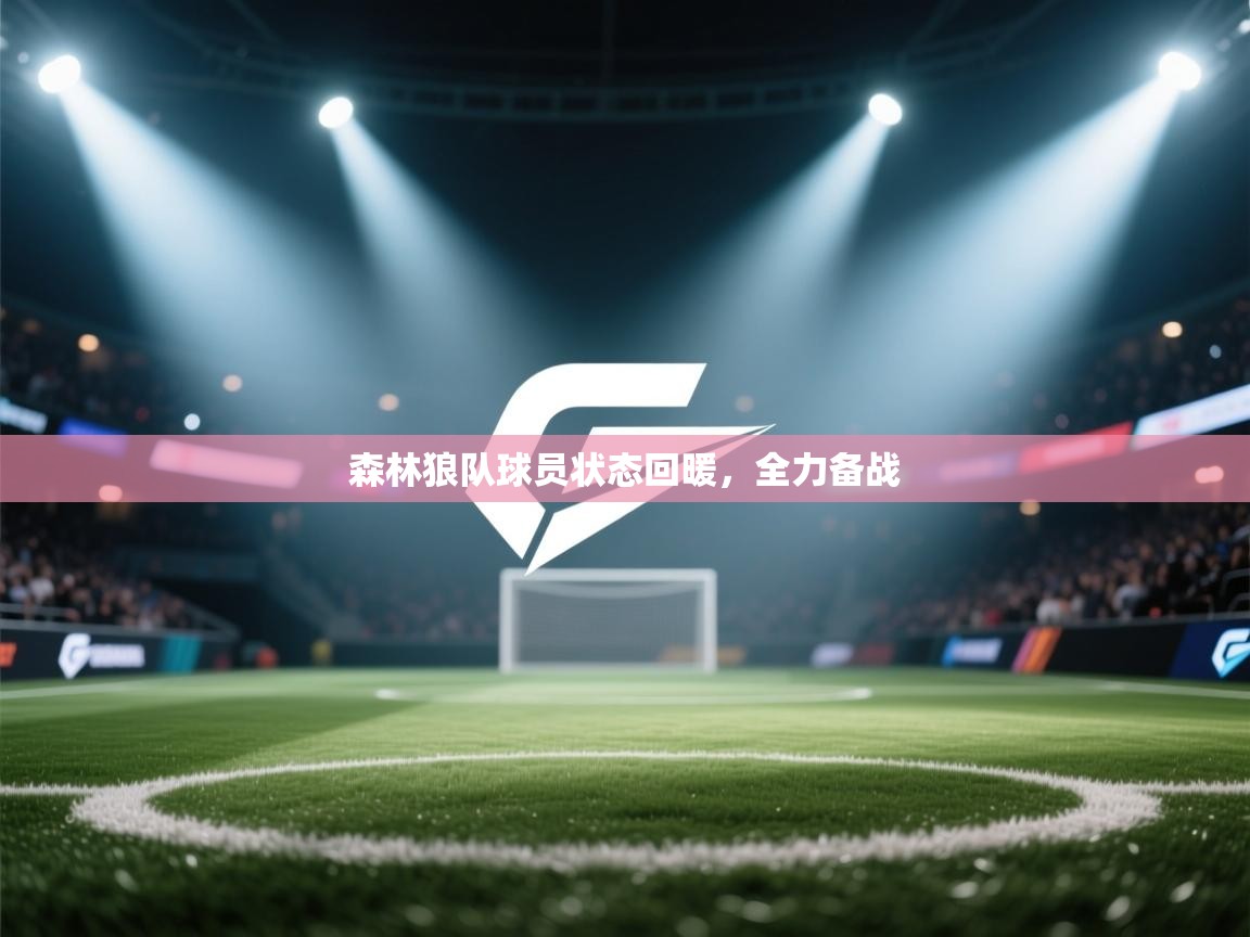 森林狼队球员状态回暖，全力备战