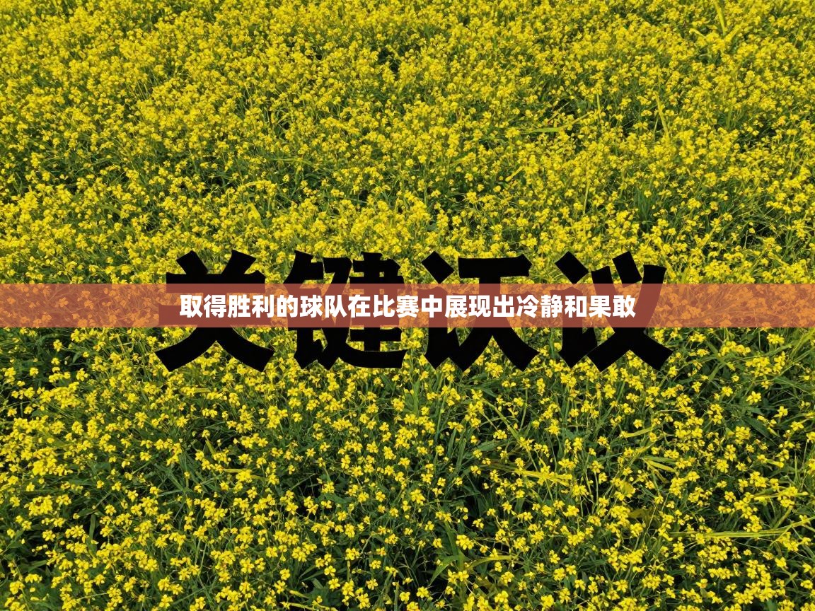 取得胜利的球队在比赛中展现出冷静和果敢  第2张