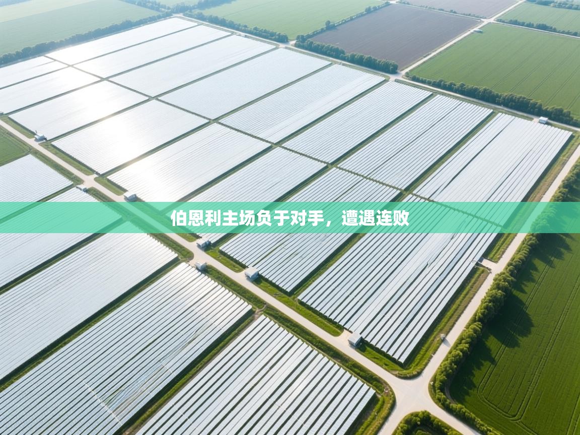 伯恩利主场负于对手，遭遇连败  第2张