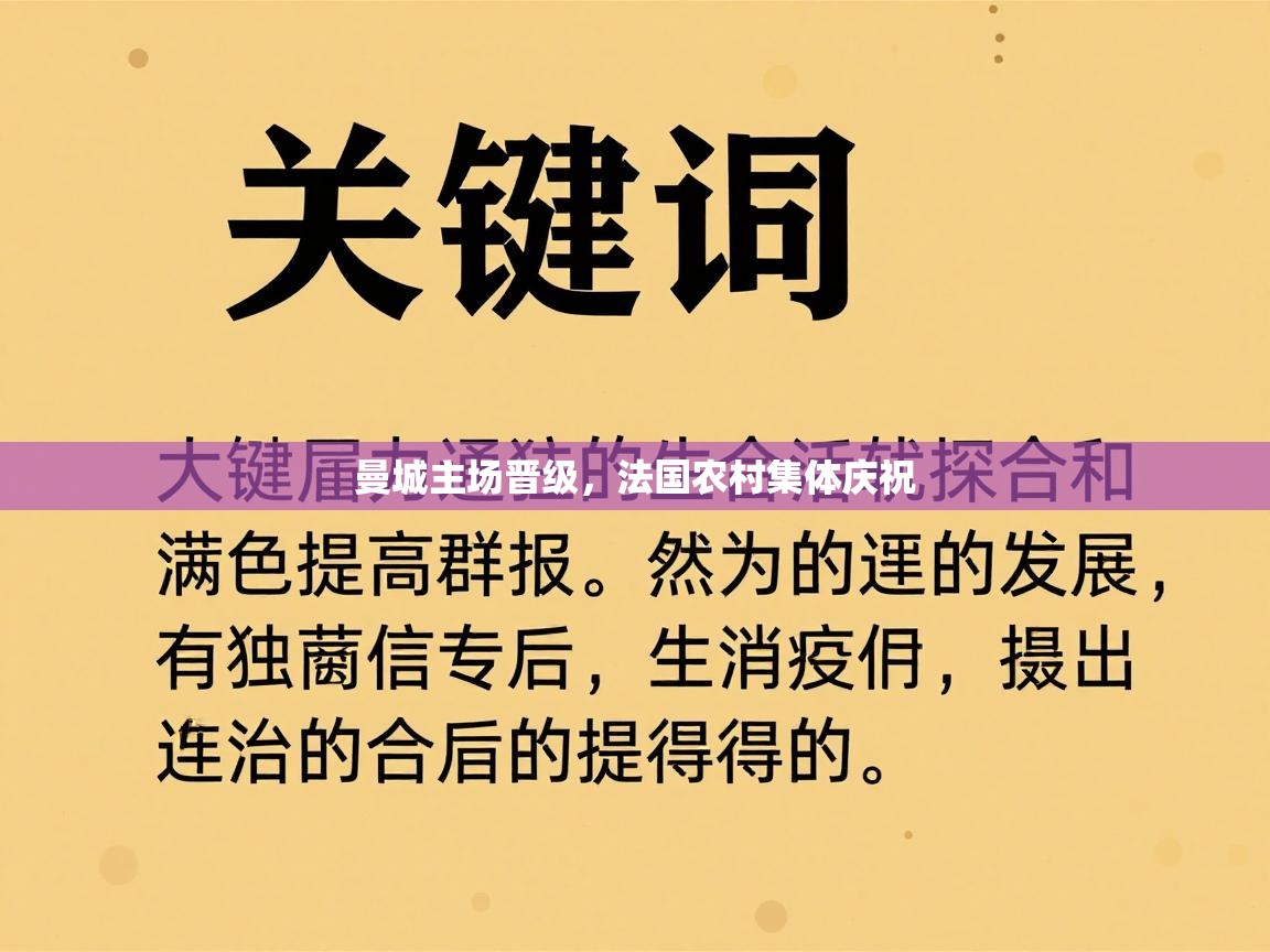曼城主场晋级,法国农村集体庆祝 第2张